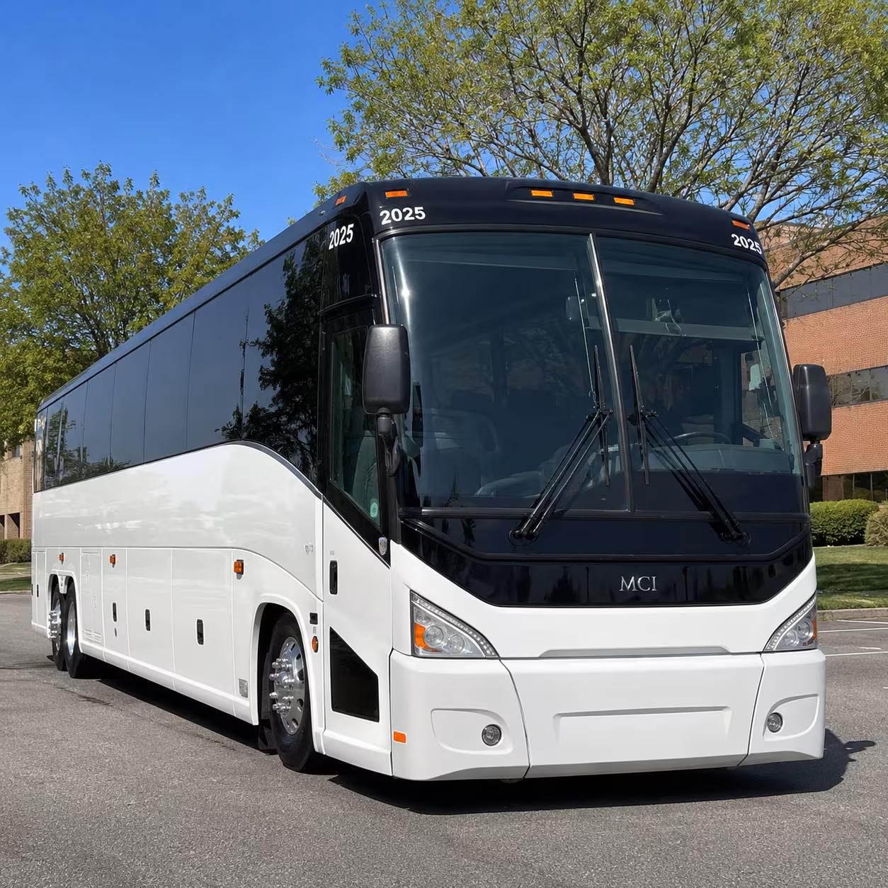 como park zoo buses and year round field trip options across the twin cities