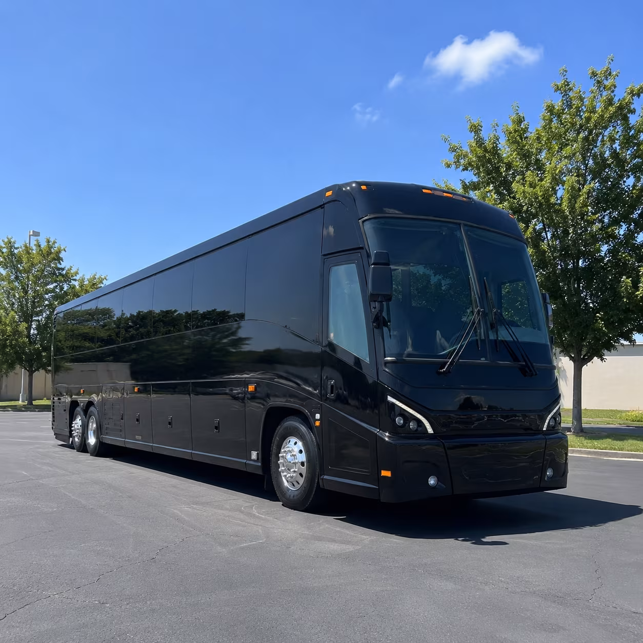 make your mayo clinic trip easy with long distance group transportation